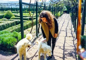 badia_al_coltiorono_dogs-CC
